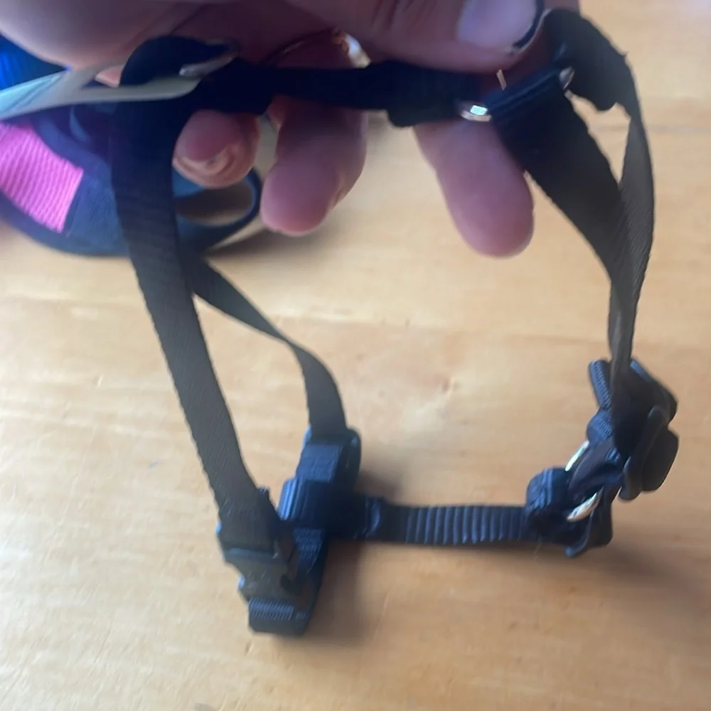 Lupine Roman Harness 1/2in 9-14”